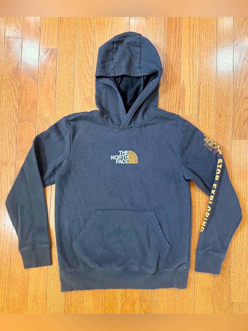 The North Face Boys Large 12 Camp Fleece Pullover Hoodie Graphic Logo Sweatshirt